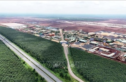 Triển khai mở rộng đoạn cao tốc TP Hồ Chí Minh - Long Thành theo công trình khẩn cấp