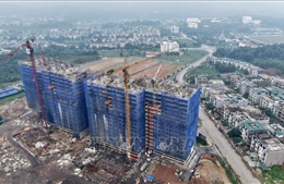 Công bố thủ tục hành chính mới ban hành trong lĩnh vực nhà ở