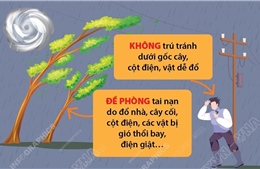 Các biện pháp phòng tránh khi bão đổ bộ