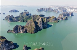 Hướng tới thiết lập hệ thống toàn diện giám sát chất lượng nước biển