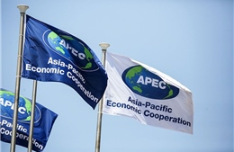 APEC nhấn mạnh vai trò của công nghiệp văn hóa - sáng tạo