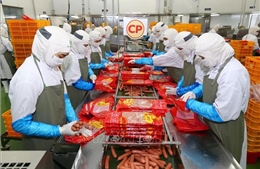 Ưu tiên chọn lọc dòng vốn FDI xanh - Bài cuối: Nông nghiệp - điểm hẹn chiến lược