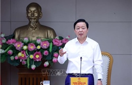 Kiên quyết xử lý vi phạm, nâng hiệu quả giám sát tàu cá, hướng tới gỡ &#39;thẻ vàng&#39; IUU