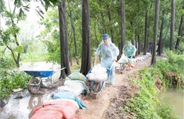 Hưng Yên chủ động phương án phòng chống ngập lụt vùng trũng thấp