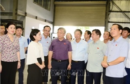 Nỗ lực thực hiện các biện pháp giảm thiểu ô nhiễm môi trường
