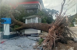 Tập trung khắc phục hậu quả của bão số 5, nhanh chóng ổn định đời sống người dân