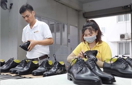 Đa dạng hóa nguồn cung nguyên liệu: Giải pháp then chốt cho sản xuất bền vững