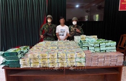 Triệt phá đường dây vận chuyển hơn 295 kg ma túy