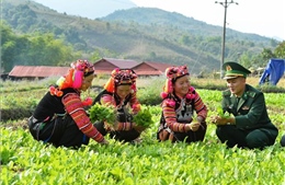 Gỡ vướng cho các chương trình mục tiêu quốc gia