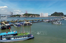 Khách du lịch nội địa đã quay trở lại Quảng Ninh sau sự cố thiên tai