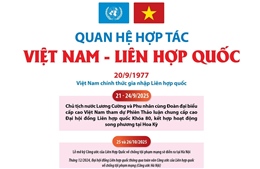 Quan hệ hợp tác Việt Nam - Liên hợp quốc