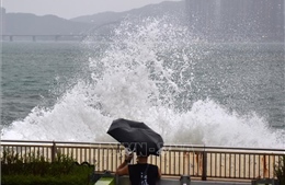 Hong Kong và Macau nâng cảnh báo siêu bão Ragasa lên mức cao nhất