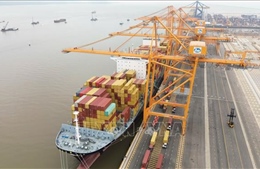 Tận dụng tối đa lợi thế cảng biển