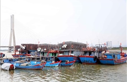 Xử phạt bốn thuyền trưởng tàu cá vi phạm IUU