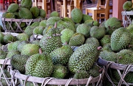 Giá nhiều loại nông sản chủ lực tại Đồng Tháp tăng trở lại