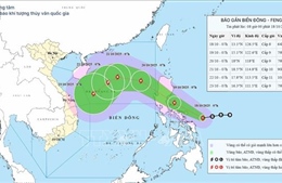 Áp thấp nhiệt đới đã mạnh lên thành bão với tên quốc tế là FENGSHEN