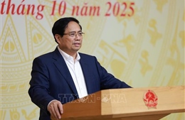 Thủ tướng Phạm Minh Chính: Cương quyết, quyết liệt tuyên chiến với khai thác IUU