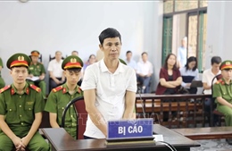 Miễn trách nhiệm hình sự đối với bị cáo Thái Khắc Thành trong vụ án &#39;gà lôi trắng&#39;