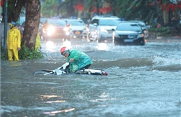 Hà Nội khẩn trương thực hiện các phương án phòng, chống bão số 11