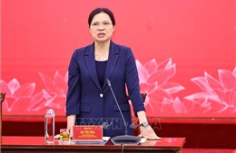 Bảo đảm tiêu chuẩn, cơ cấu, tiến độ tổ chức đại hội MTTQ Việt Nam các cấp