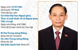 Bộ trưởng Bộ Ngoại giao Lê Hoài Trung
