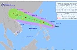 Áp thấp nhiệt đới mạnh lên thành bão với tên quốc tế là Matmo