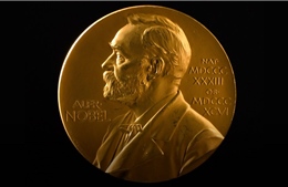 Nobel 2025: Những ngã rẽ trên con đường dẫn tới vinh quang