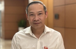 Đưa thể chế trở thành nền tảng quan trọng bảo vệ và thúc đẩy phát triển kinh tế - xã hội