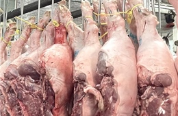 Trà trộn thịt lợn nhiễm dịch tả châu Phi để bán ra thị trường