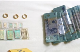 Tạm giữ hình sự người phụ nữ trộm tiền, vàng trị giá hàng tỷ đồng