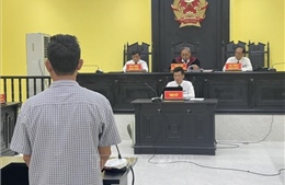 Xử lý nghiêm chủ tàu thu mua hải sản trái phép trên vùng biển nước ngoài