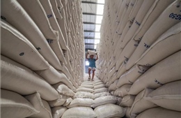 Mỹ dỡ bỏ thuế quan với hơn 1 tỷ USD giá trị nông sản Philippines