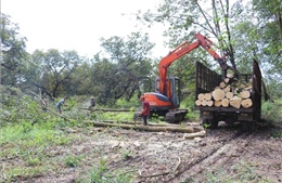 Bàn giao mặt bằng Dự án cao tốc Bắc - Nam phía Tây