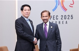 Quốc vương Brunei Darussalam sẽ thăm cấp Nhà nước tới Việt Nam