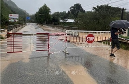 Khẩn trương đánh giá tình trạng kỹ thuật, chất lượng của cầu, công trình vượt sông