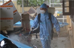 Hỗ trợ hóa chất, giống cây trồng, vật nuôi để khôi phục sản xuất sau lũ