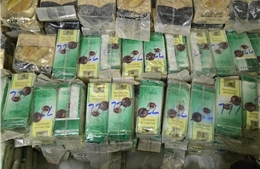 Triệt phá đường dây đưa 1,2 tấn ma túy từ Tam giác vàng về Việt Nam