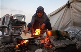 Điện của Chủ tịch nước Lương Cường nhân Ngày quốc tế đoàn kết với nhân dân Palestine