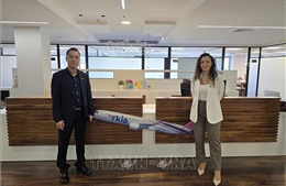 Thúc đẩy mở đường bay thẳng giữa Israel và Việt Nam