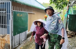 Giám sát và triển khai ứng phó dịch bệnh trong bão lũ