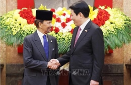 Tăng cường hiệu quả quan hệ Đối tác toàn diện Việt Nam - Brunei