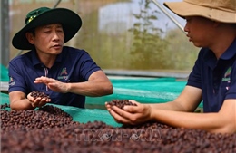 Gỡ điểm nghẽn, khơi thông nguồn lực phát triển lĩnh vực nông nghiệp và môi trường