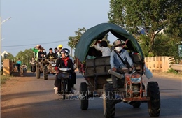 Tổng thống Mỹ tuyên bố Thái Lan và Campuchia nhất trí ngừng bắn