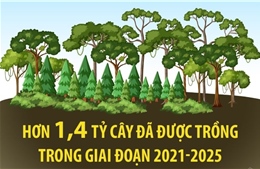 Hơn 1,4 tỷ cây đã được trồng trong giai đoạn 2021-2025