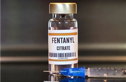 Cảnh báo về loại ma túy cực độc fentanyl, gấp 50 lần so với heroine