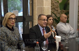 Cộng đồng quốc tế thúc đẩy hòa bình, ủng hộ giải pháp hai nhà nước và tái thiết Gaza