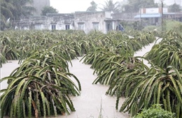 Mưa nặng hạt kéo dài, nhiều khu vực tại Lâm Đồng bị ngập trở lại