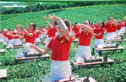 Phó Thủ tướng Bùi Thanh Sơn dự khai mạc Lễ hội Trà quốc tế 2025