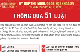 Kỳ họp thứ 10, Quốc hội khóa XV thông qua 51 luật