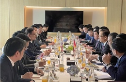 Việt Nam sẵn sàng đóng góp tích cực cho các nỗ lực chung nhằm duy trì hòa bình, ổn định lâu dài tại khu vực